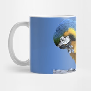 Blue & Gold Macaw Mug